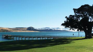 A grassy area with a dock extending into a lake, surrounded by hills and a large tree.