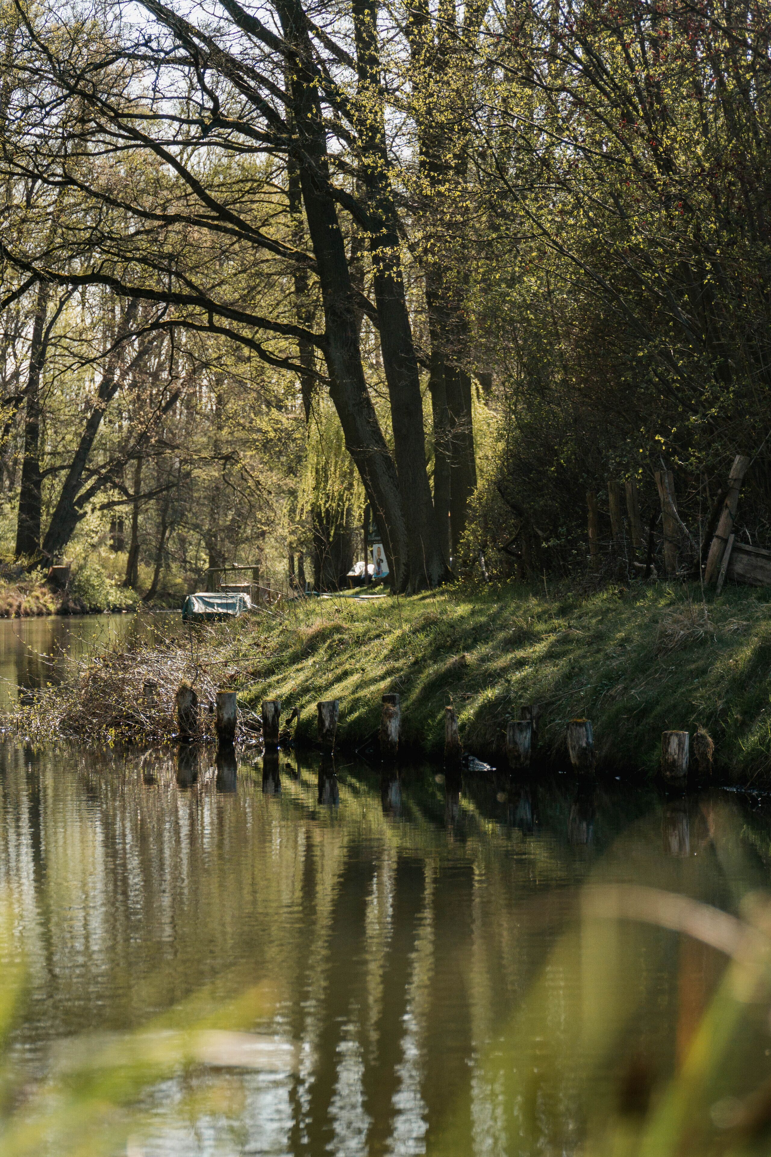 A serene riverside scene with trees, a wooden dock, and a small boat.