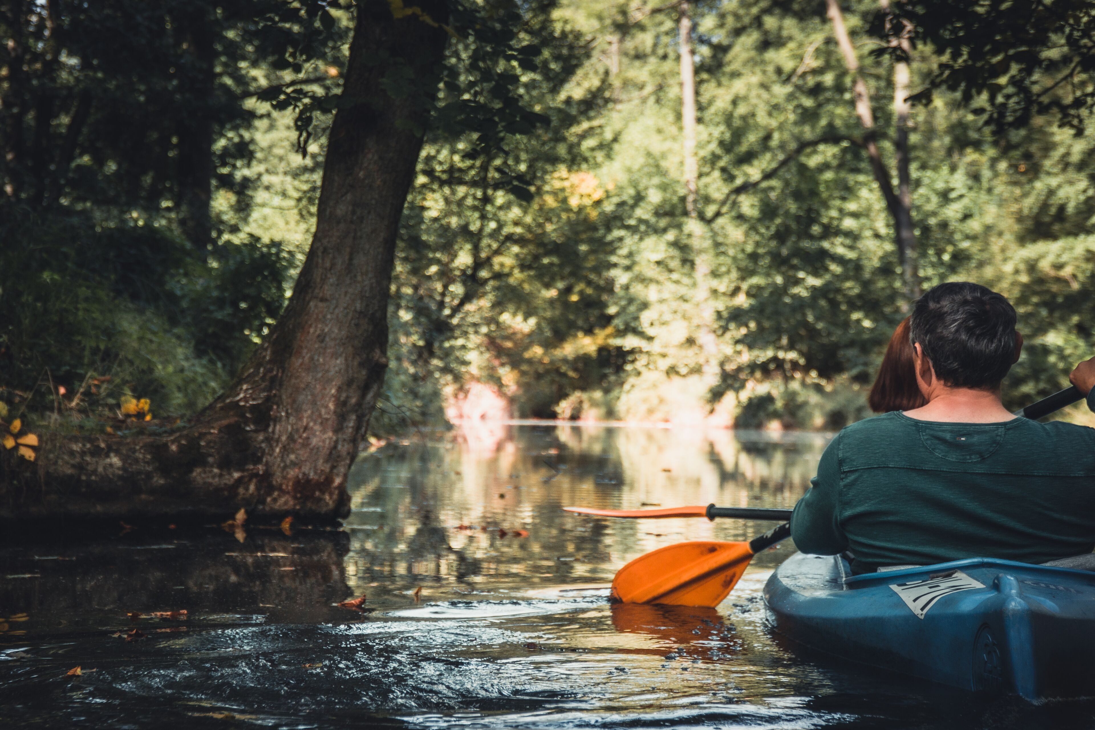 Una persona practica kayak en una zona boscosa con agua tranquila y árboles.