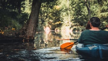 Una persona practica kayak en una zona boscosa con agua tranquila y árboles.