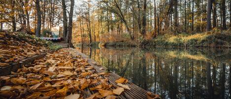 A wooden boardwalk over a calm body of water surrounded by trees with autumn leaves.