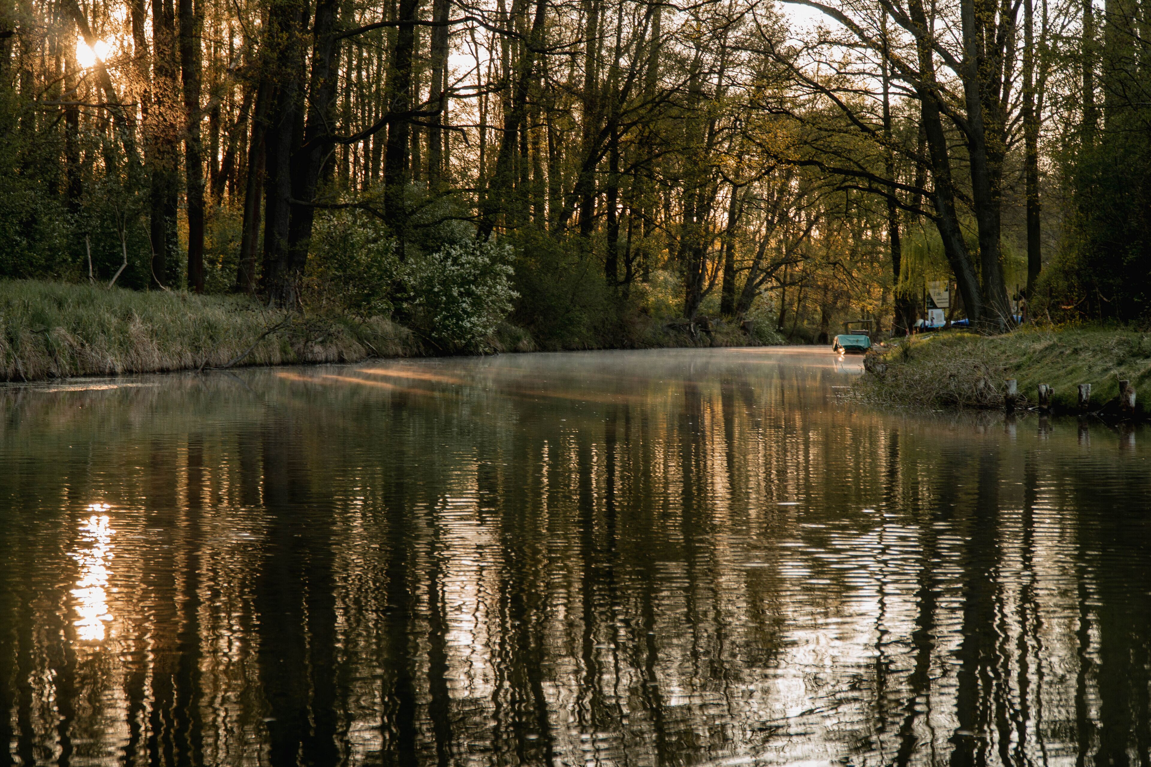 Ein ruhiger Fluss mit Bäumen, deren Spiegelungen im Sonnenlicht schimmern, umgeben von grünen Ufern.