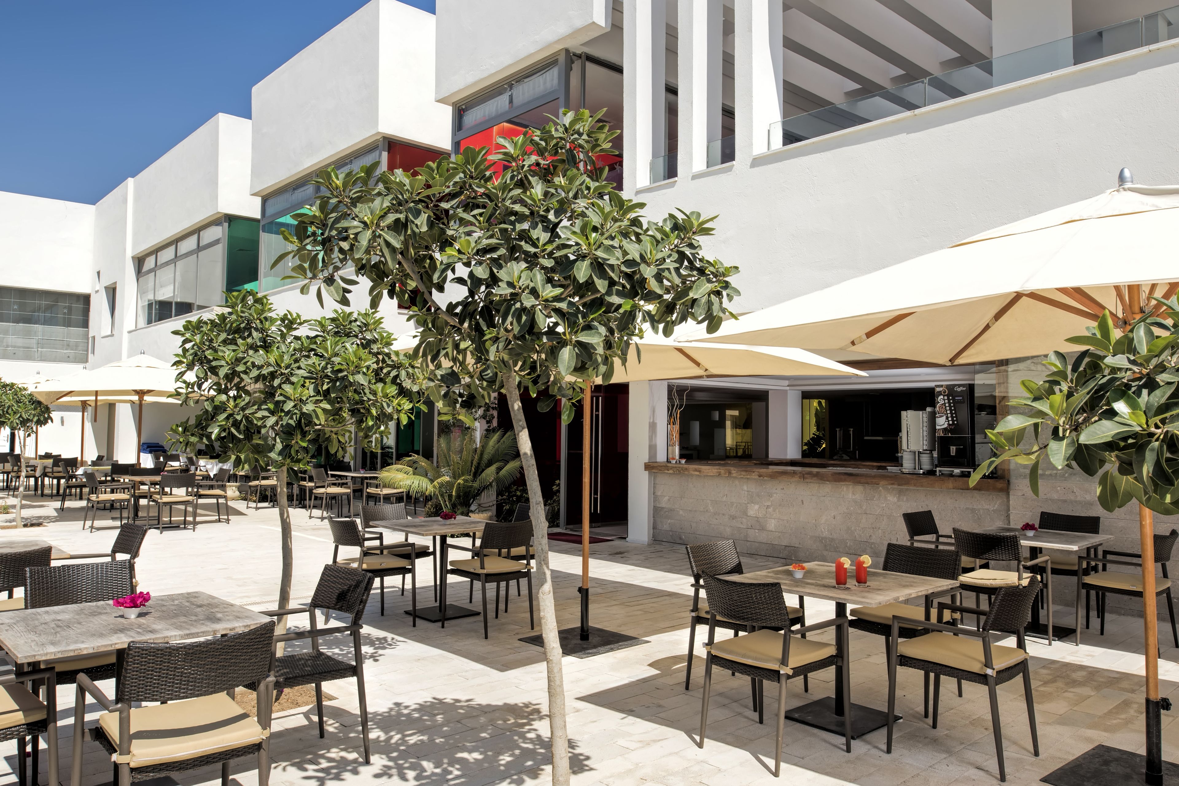 Un patio al aire libre con mesas, sillas, un bar y un gran árbol que da sombra.
