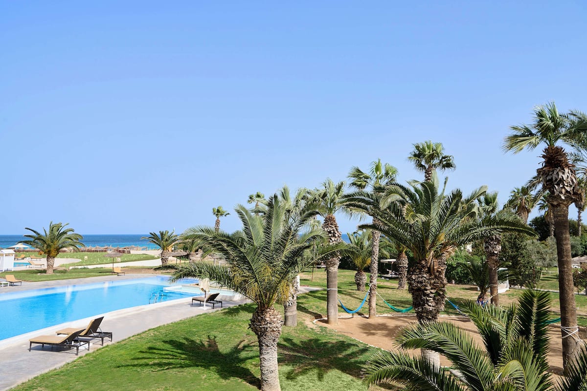 A pool area with lounge chairs, palm trees, and a view of the ocean.