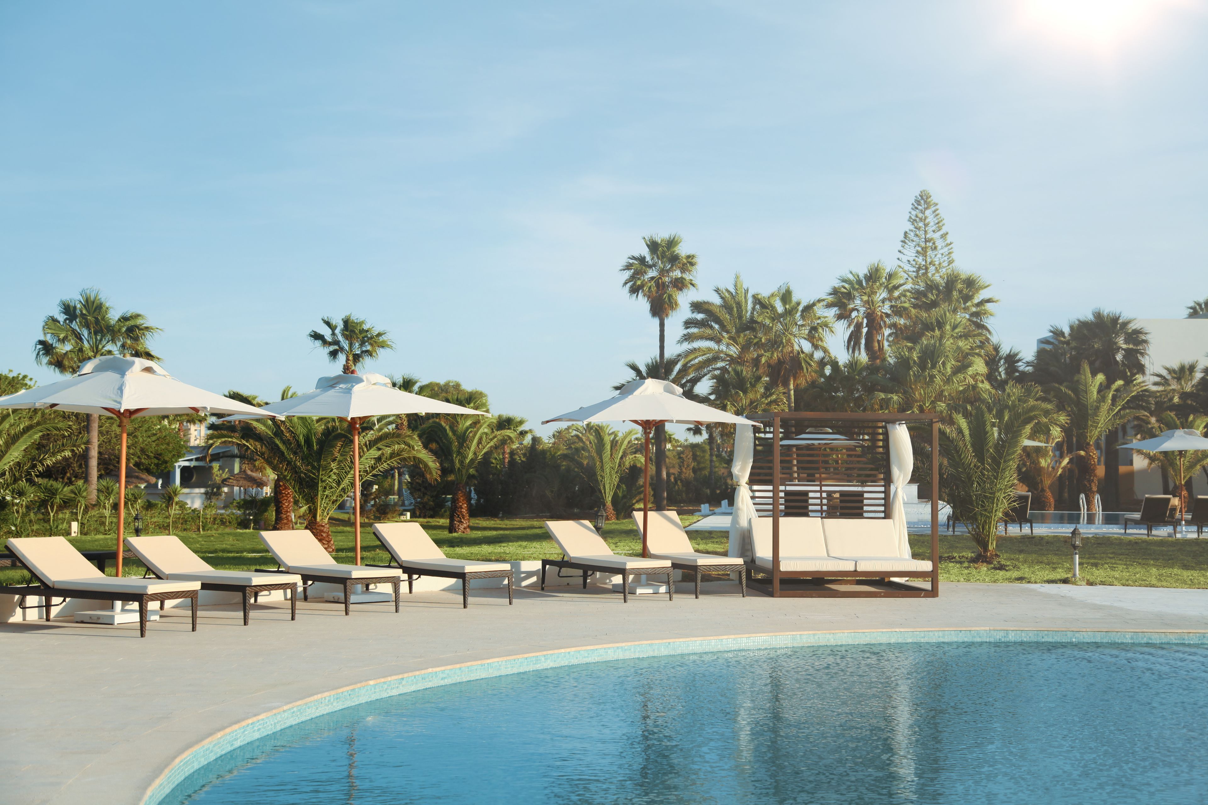 Un espace piscine agrémenté de chaises longues et de parasols, entouré de palmiers.