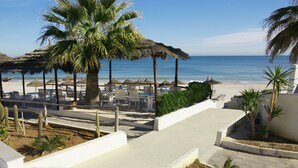 Un complexe hôtelier situé en bord de mer, doté d’un espace extérieur aménagé, de palmiers et offrant une vue sur l’océan.
