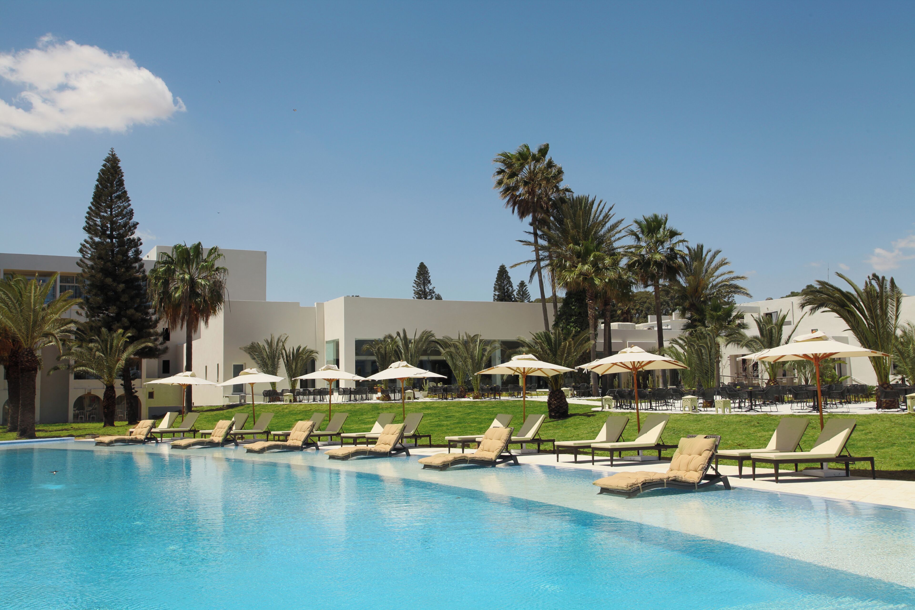 A pool area with lounge chairs and umbrellas, surrounded by palm trees and modern buildings.