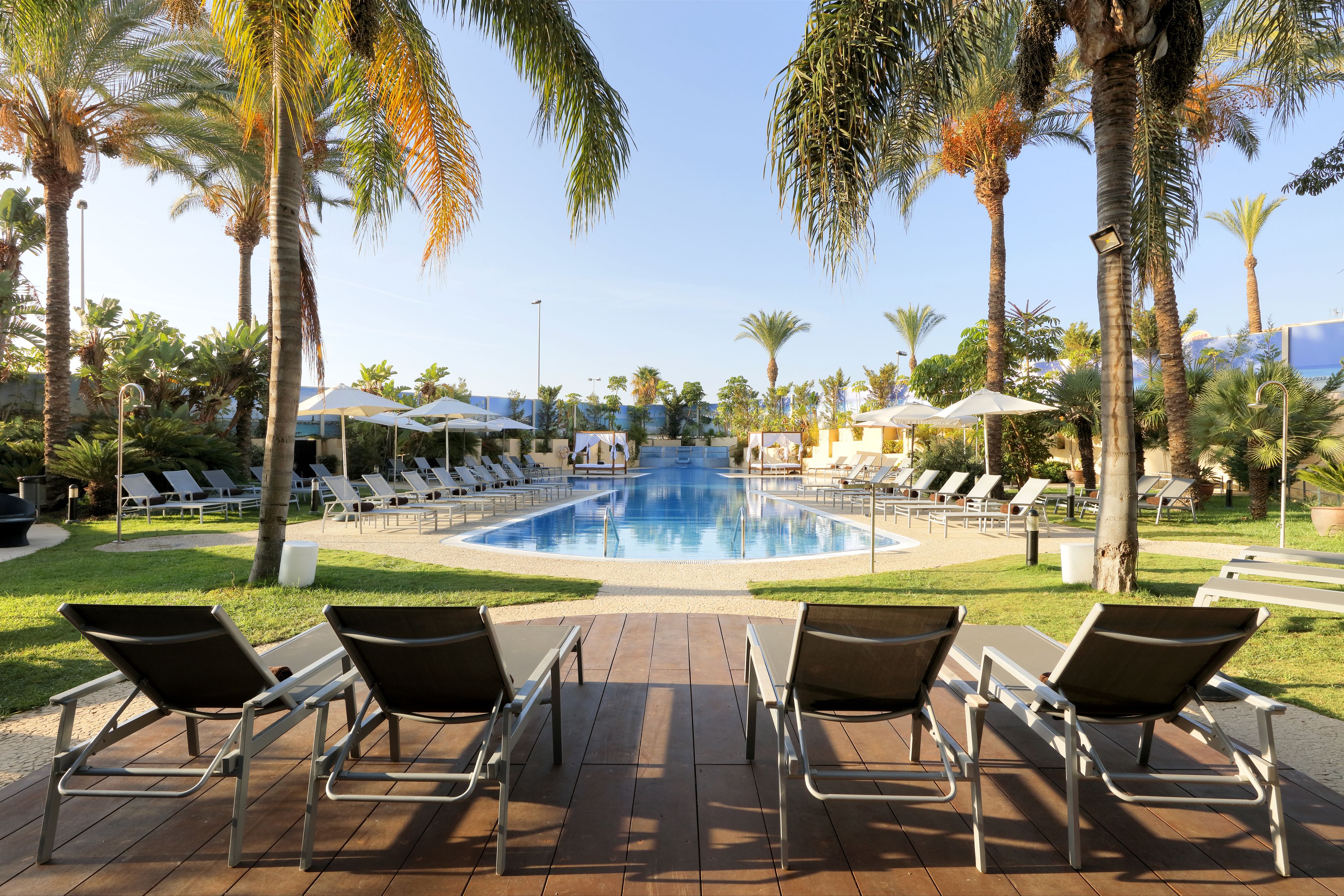 A pool area with lounge chairs and umbrellas, surrounded by palm trees.