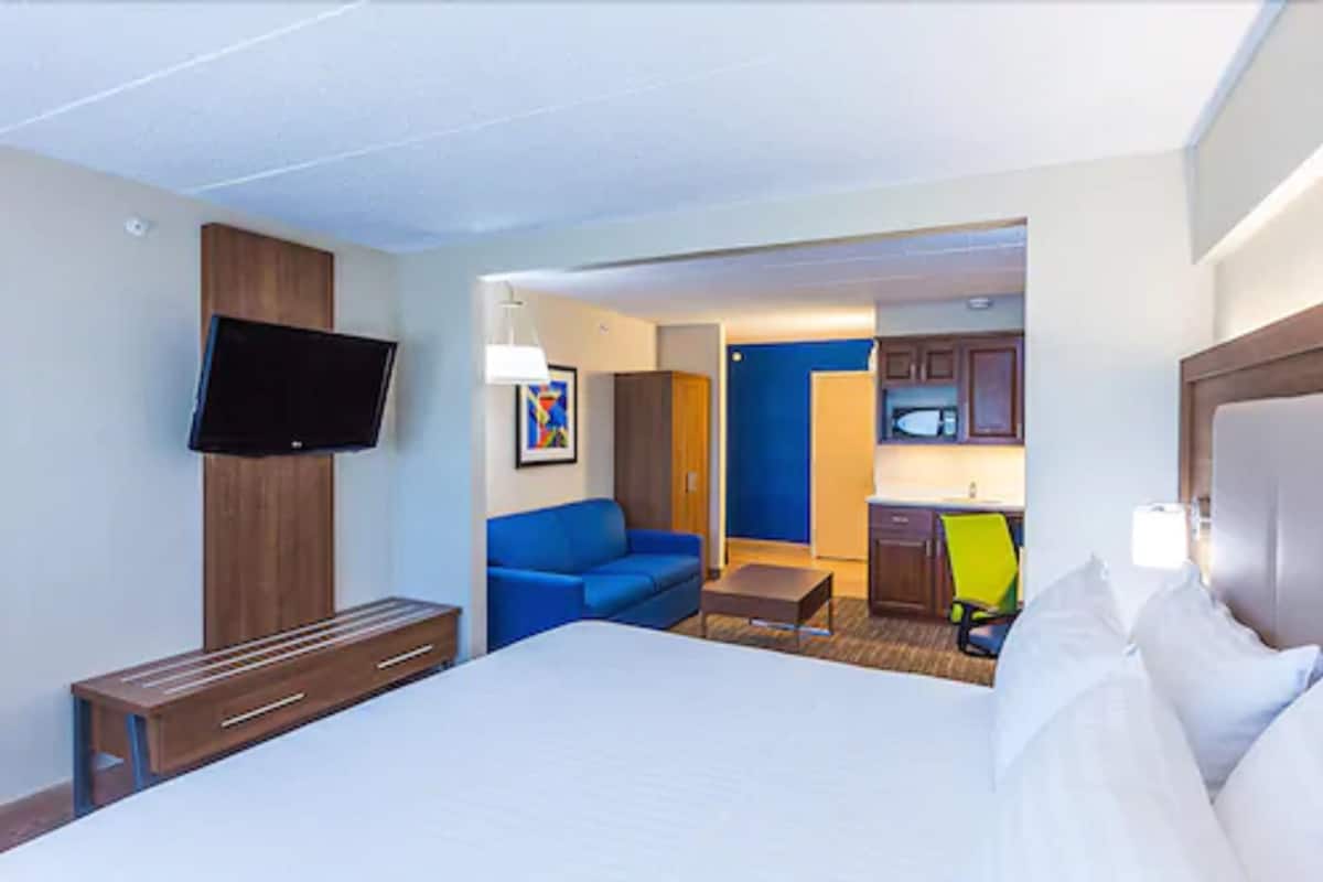 suite, 1 king bed | 1 bedroom, premium bedding, down duvets, desk