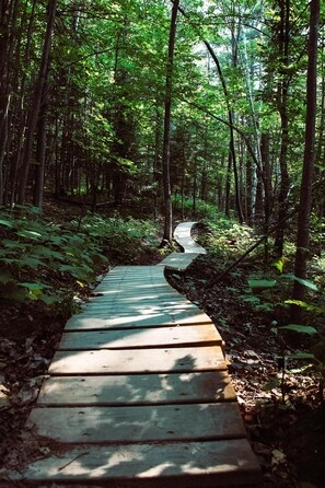 Hiking