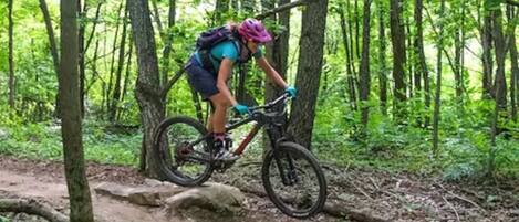 Una persona in sella a una mountain bike su un sentiero sterrato in una zona boschiva.