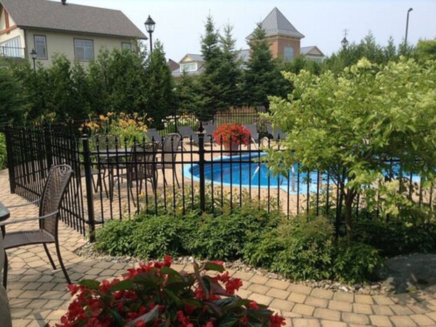 Zona residencial con piscina rodeada por una cerca de metal negro, plantas en macetas y diversos árboles.