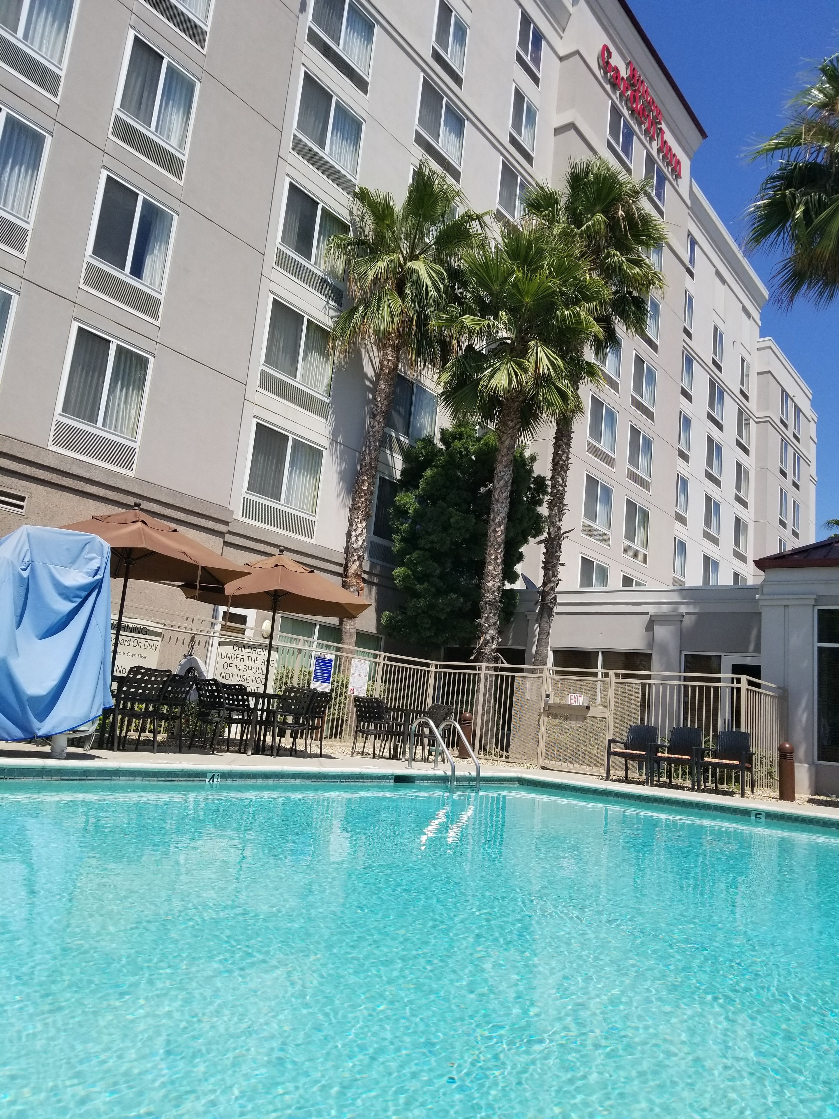 A hotel pool area with clear blue water, palm trees, and a building with a 'Courtyard by Marriott' sign.