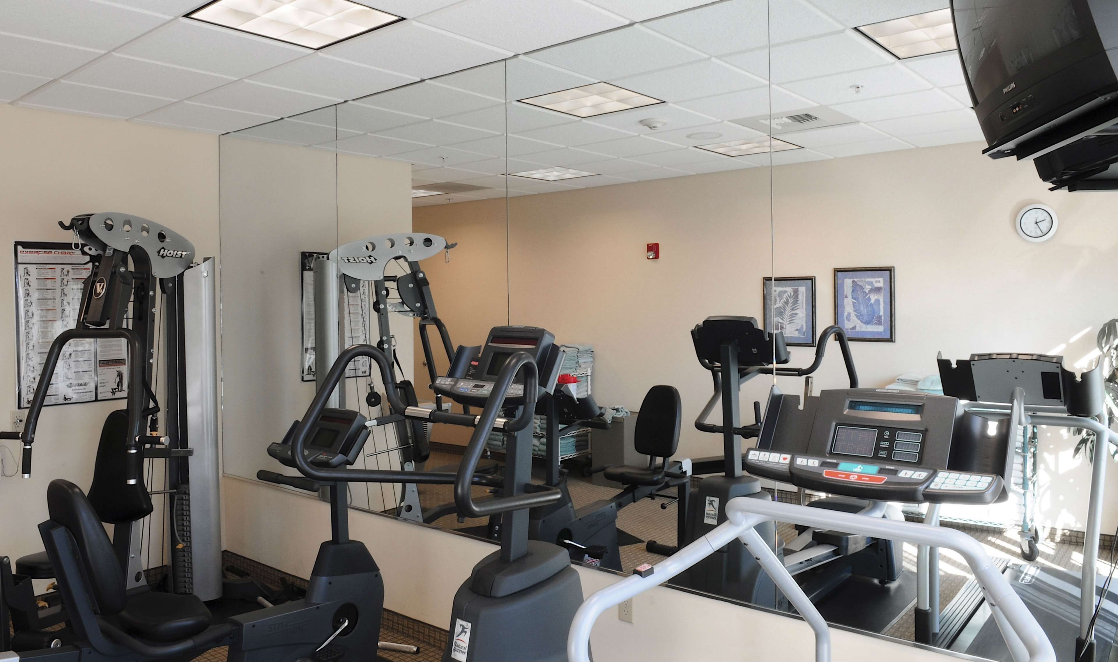 Une salle de sport équipée de divers appareils d’exercice, notamment des tapis de course et des appareils de musculation.