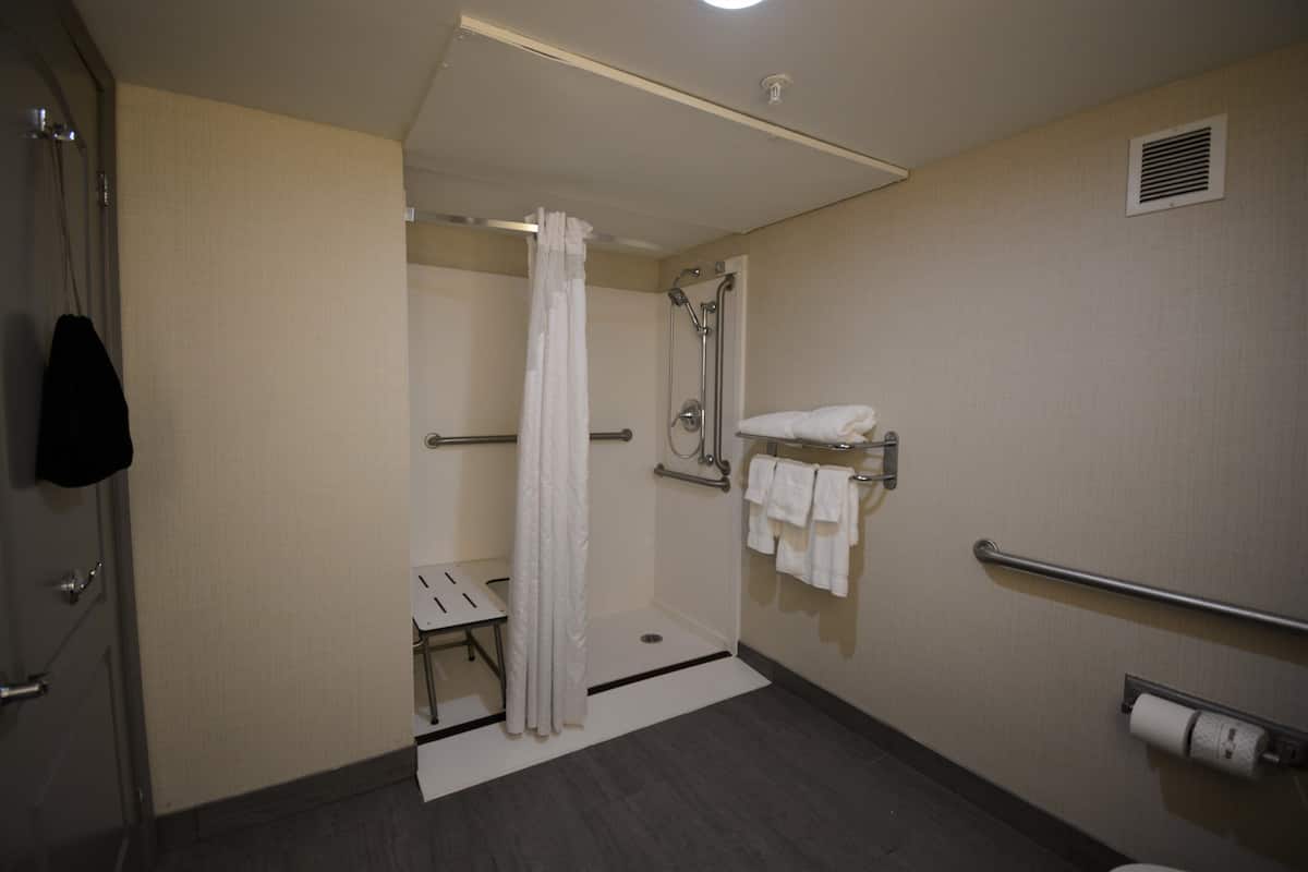 A bathroom with a shower, a handrail, a towel rack, and a toilet paper dispenser.