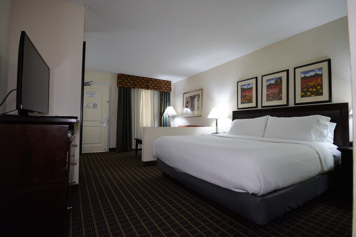 Suite, 1 King Bed | 1 bedroom, desk, soundproofing, iron/ironing board