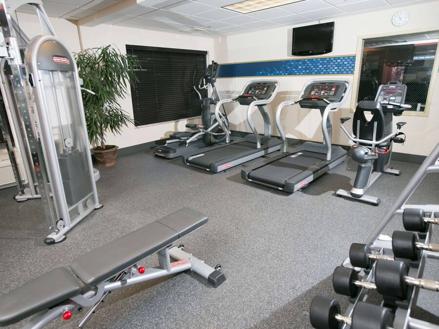 Une salle de sport équipée de tapis de course, d’un banc de développé couché et d’haltères.