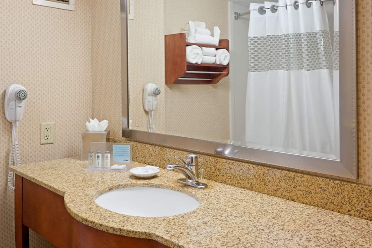 combined shower/bathtub, free toiletries, hair dryer, towels