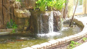 A small waterfall feature with a stone basin and surrounding greenery.