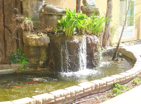 Jardín