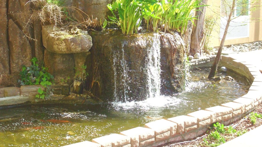 ハンプトン イン & スイーツ レッド ブラフ