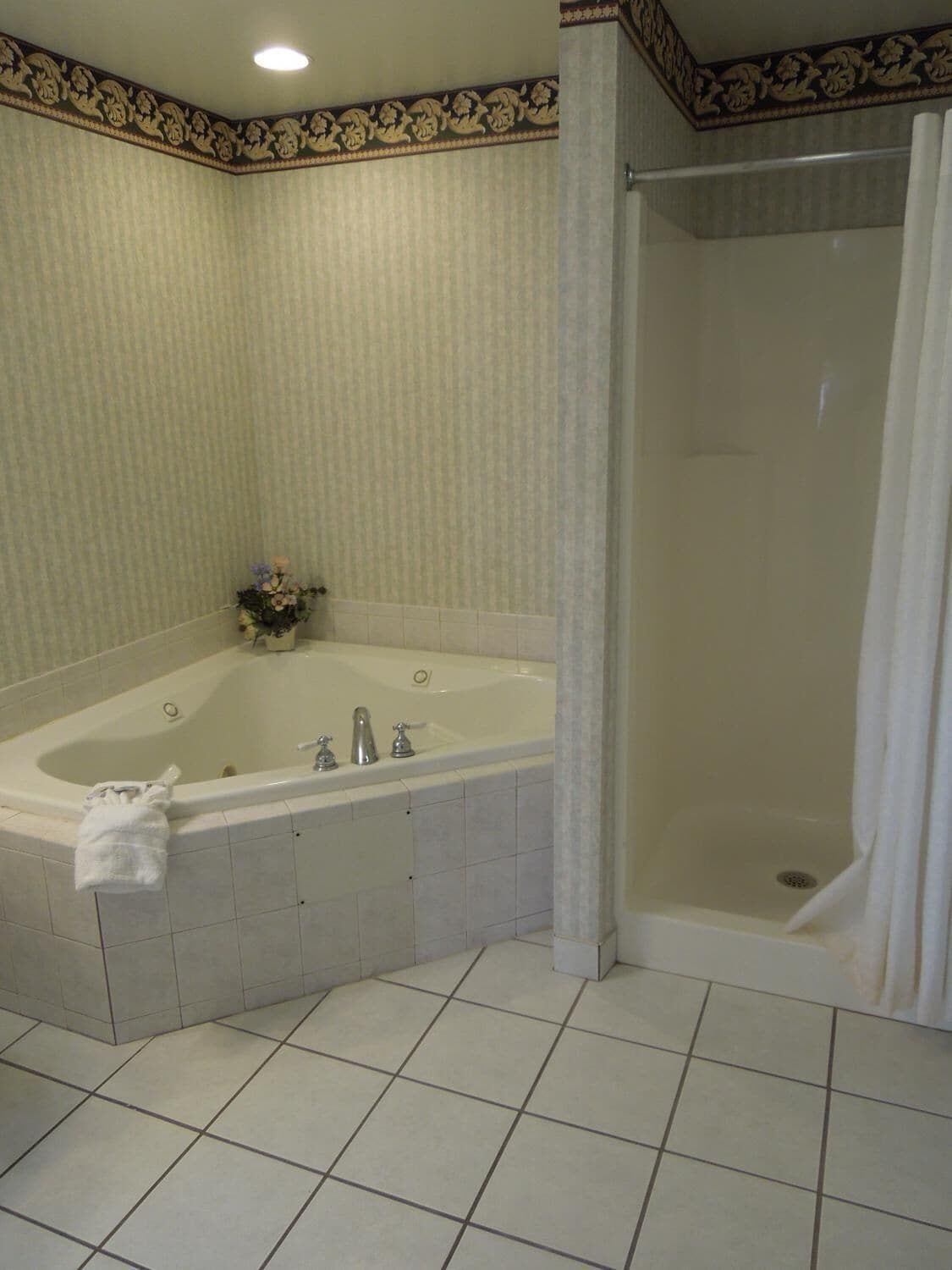 Combined shower/bathtub, free toiletries, hair dryer, towels
