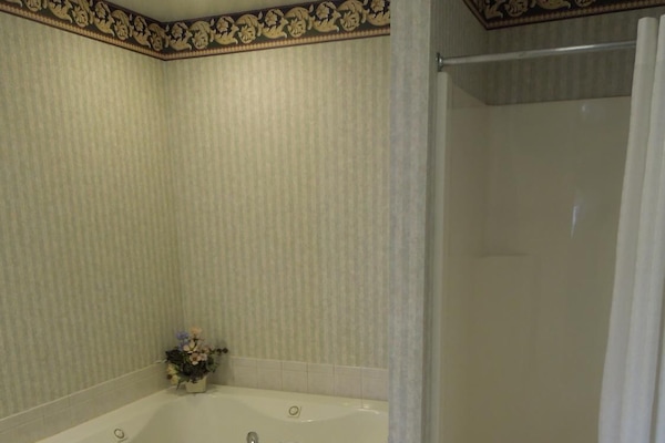 Combined shower/tub, free toiletries, hair dryer, towels