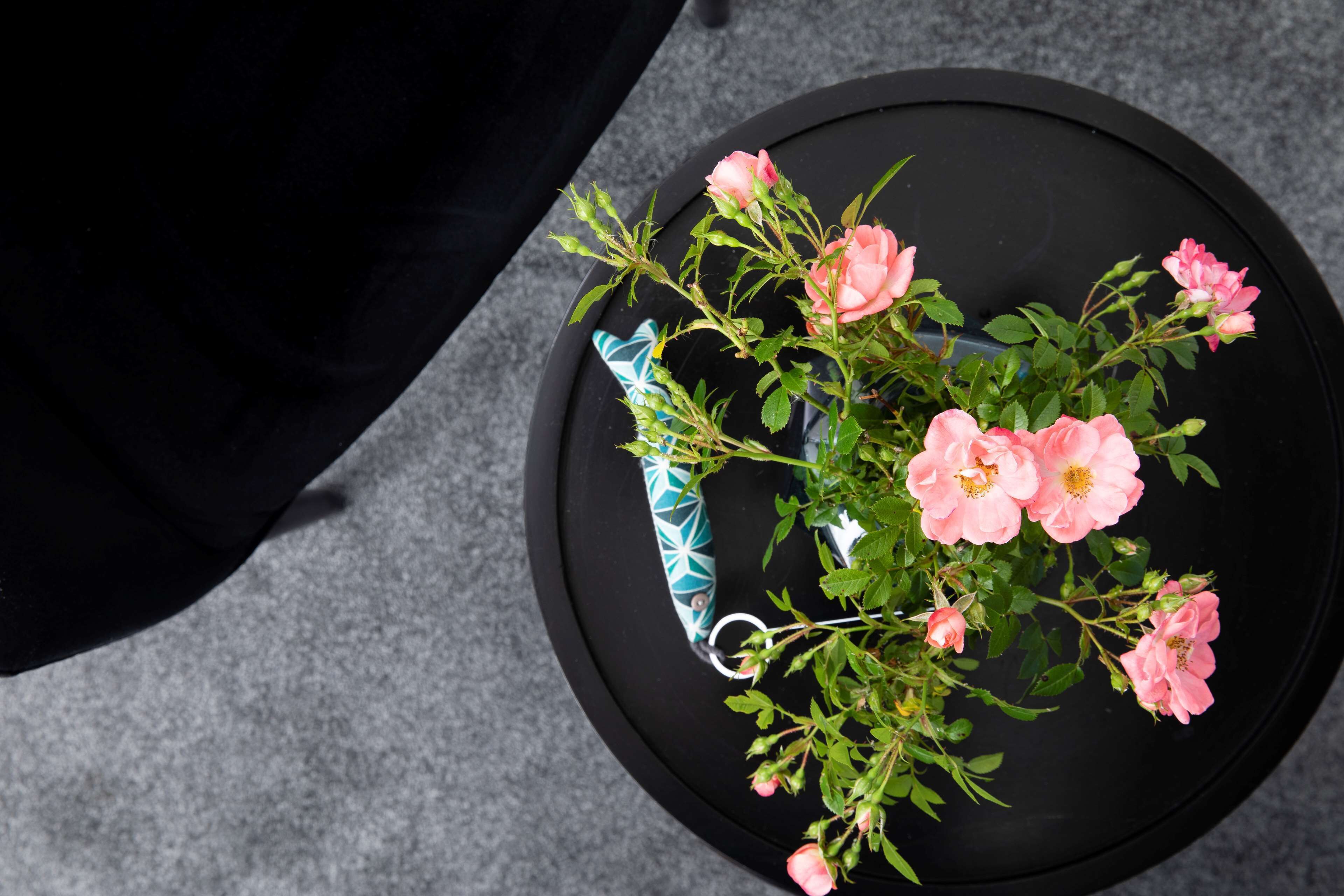 Foto - Best Western Plus Hotel les Rives du Ter