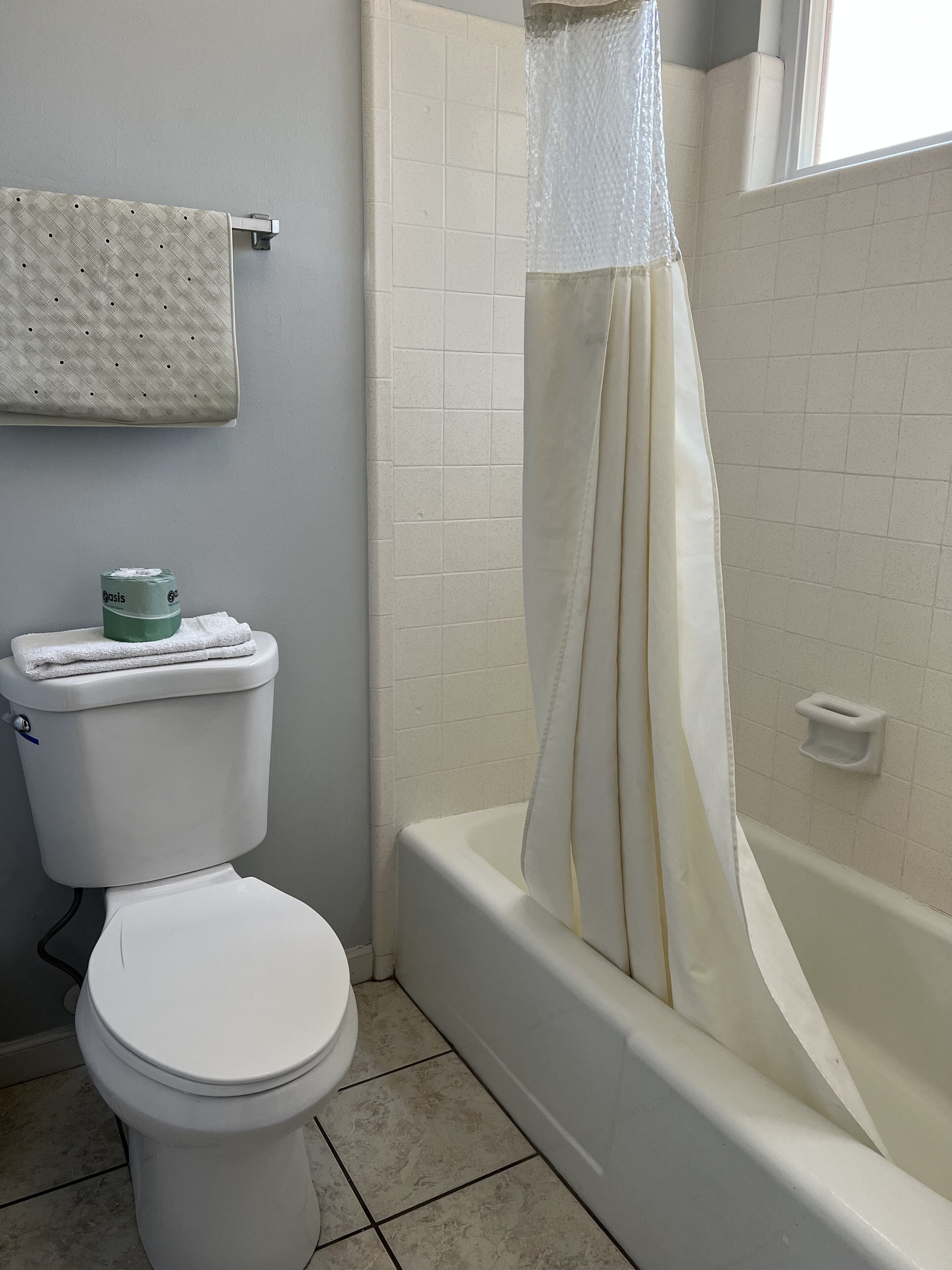 A bathroom with a toilet, a bathtub, and a shower curtain.