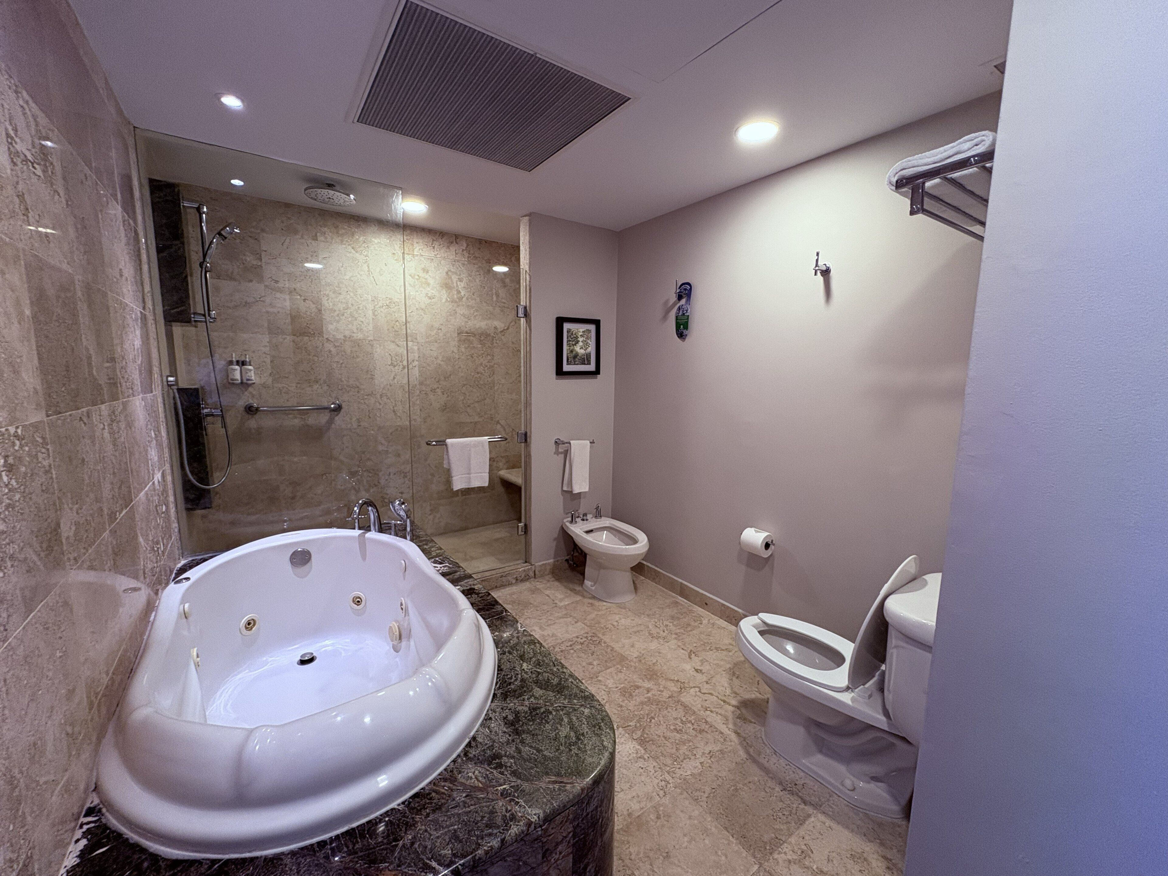 Suite, 1 King-Bett