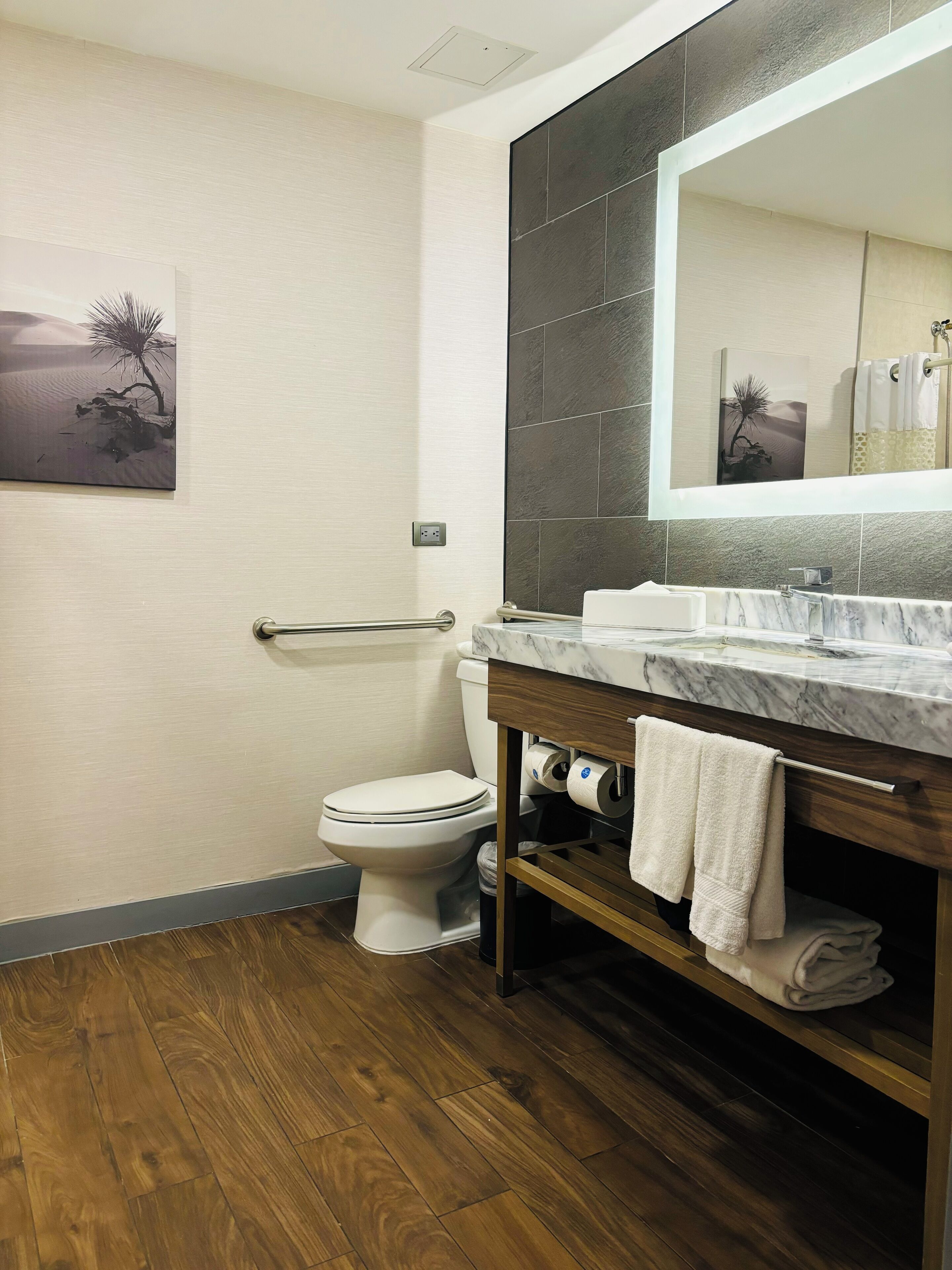 room, 1 king bed, accessible, non smoking (roll-in shower) | bathroom | combined shower/bathtub, rainfall showerhead, free toiletries