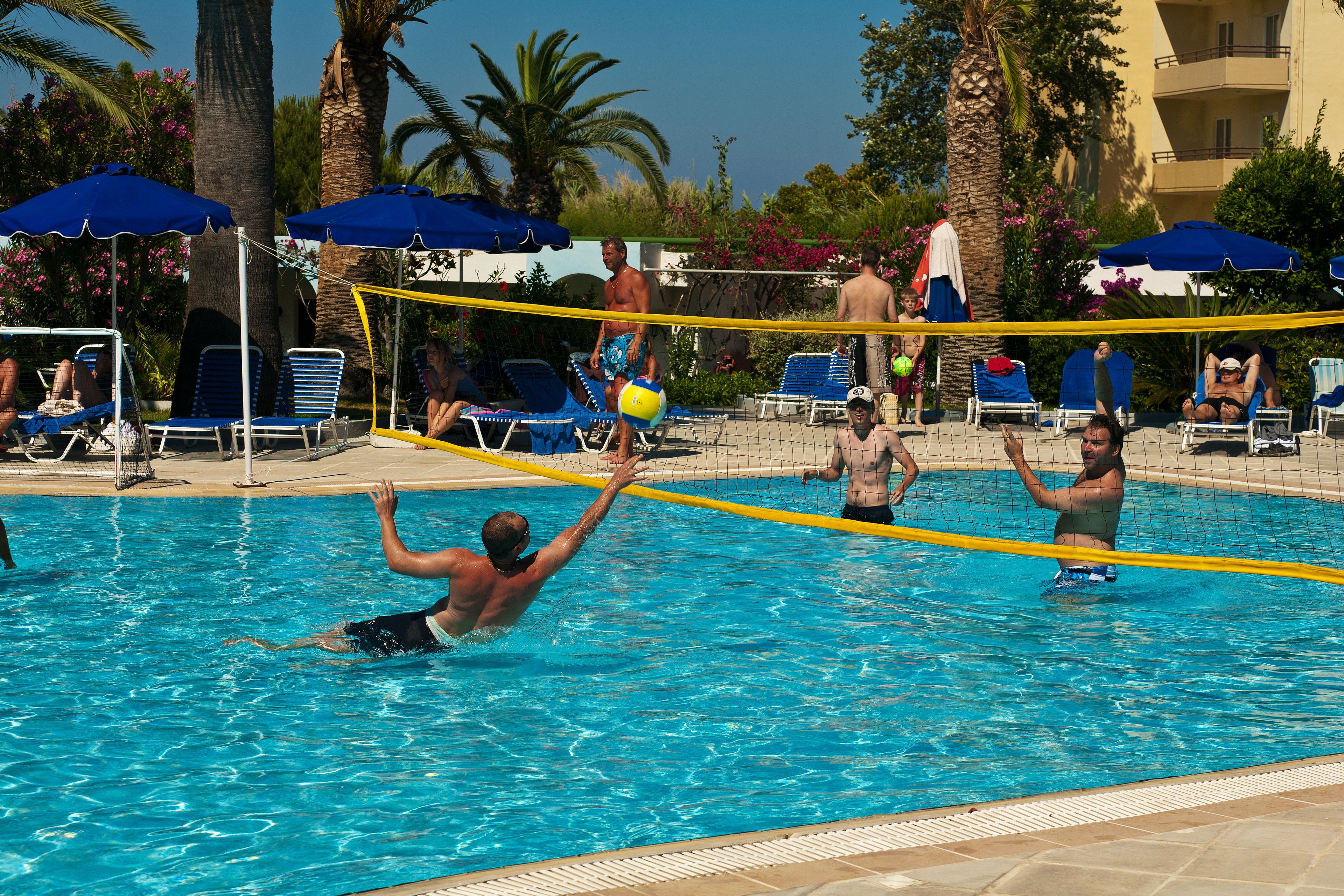 A pool area with a volleyball net, lounge chairs, and palm trees.