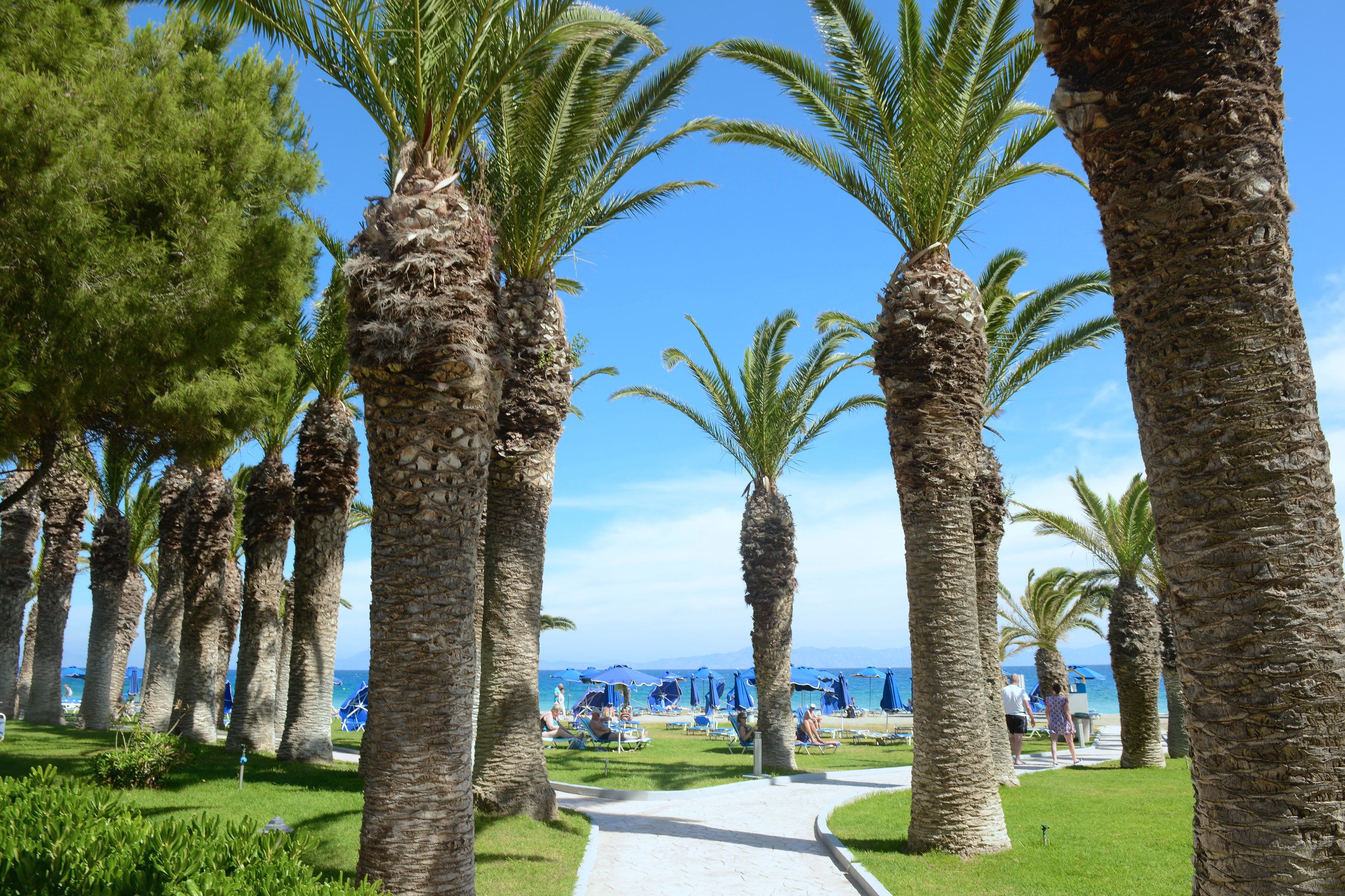 on the beach, sun-loungers, beach umbrellas, beach towels