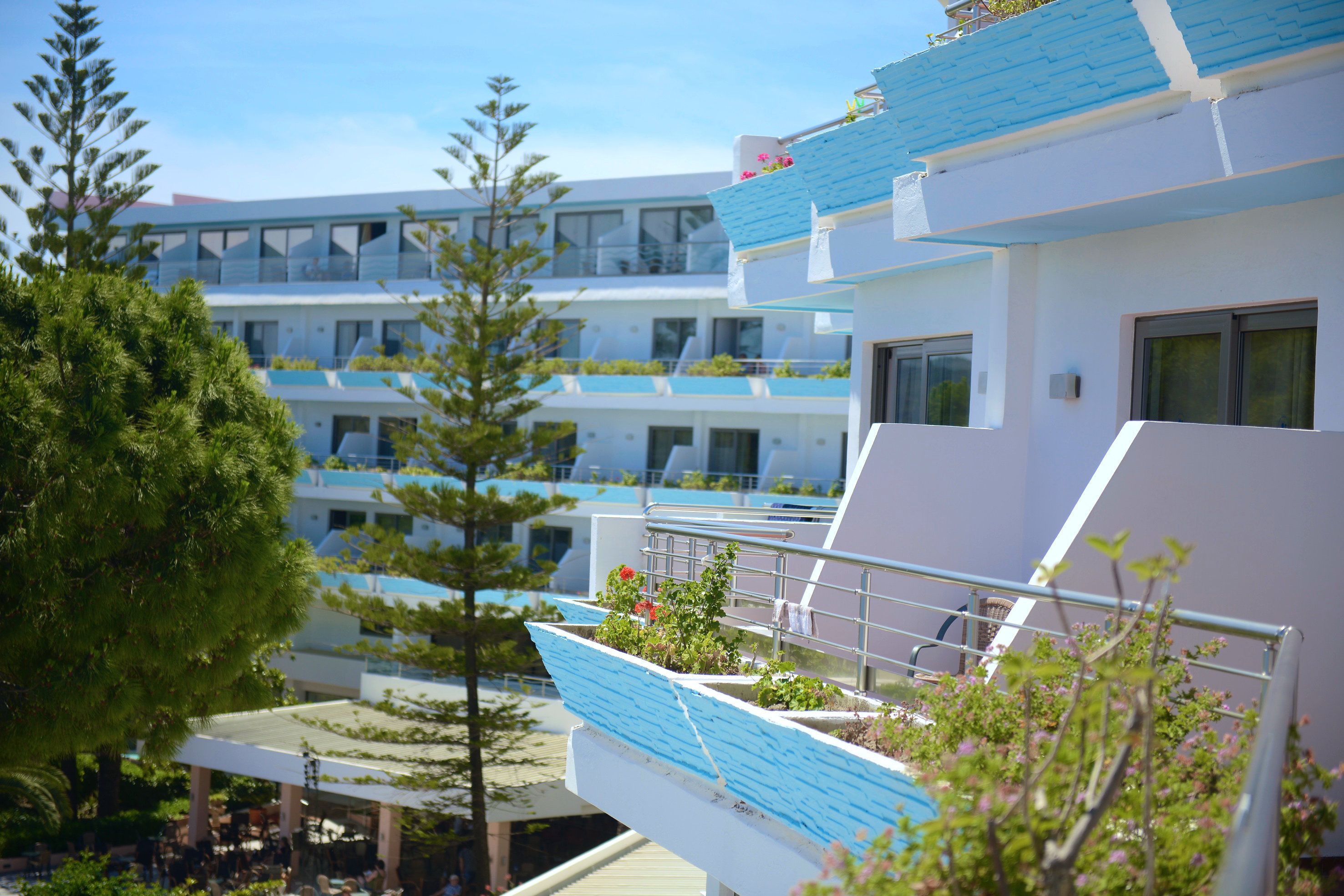 Foto - Blue Horizon Hotel