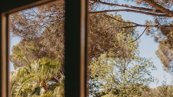 Suíte júnior | Vista para o jardim