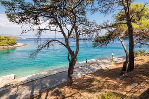 A coastal path with trees and a clear view of the sea. - Resort Fontana (Jelsa)