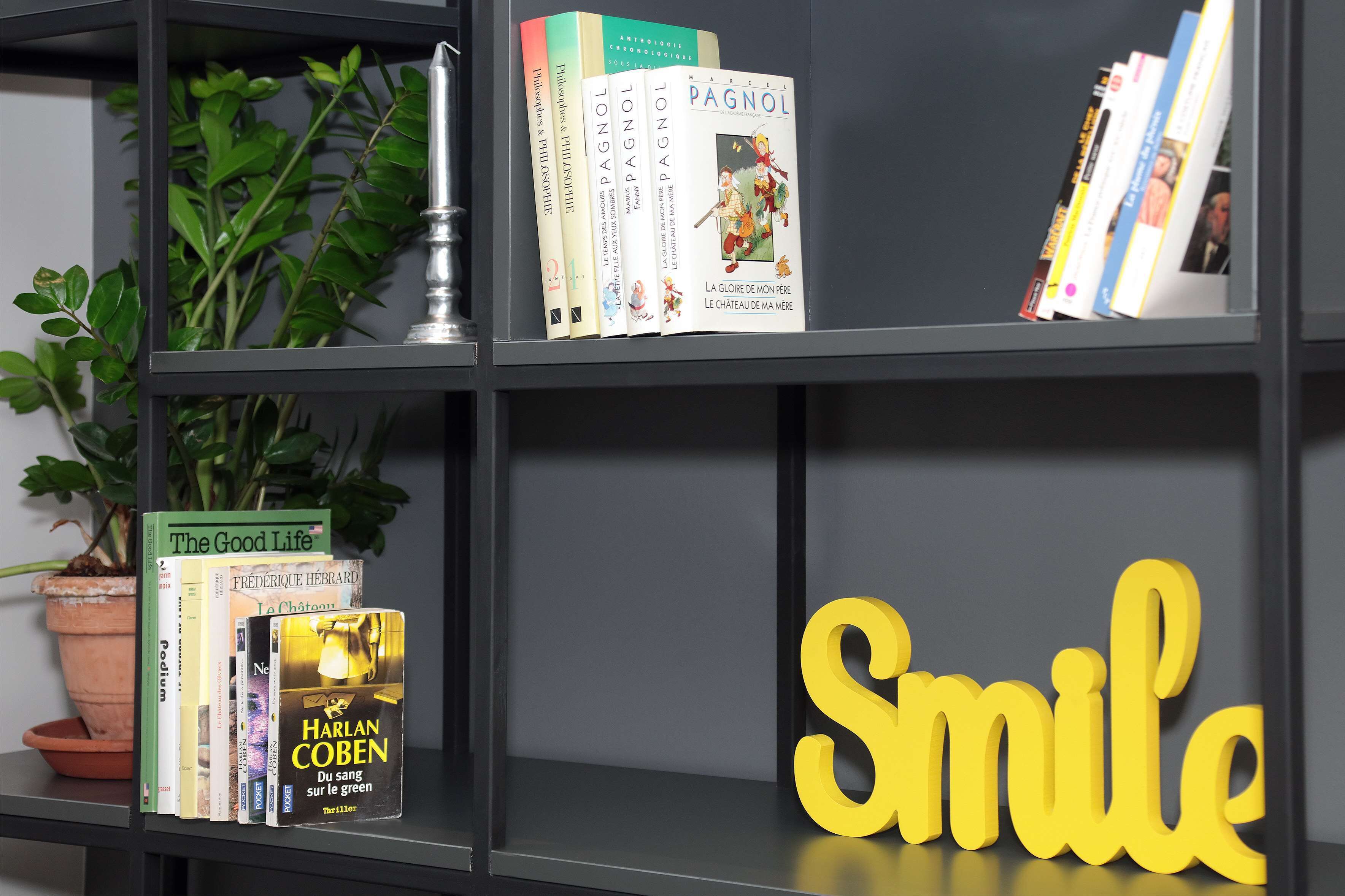 A bookshelf with books and a potted plant.