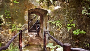 A stone staircase leading to an arched doorway, surrounded by lush greenery. - Sugar Beach, A Viceroy Resort (Soufrière)
