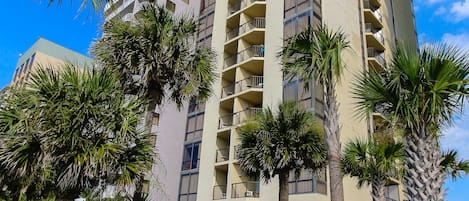 A high-rise hotel with multiple balconies, surrounded by palm trees and a well-maintained garden.