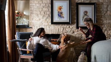 A cozy room with a stone wall, a framed artwork, and a dog interacting with a person.