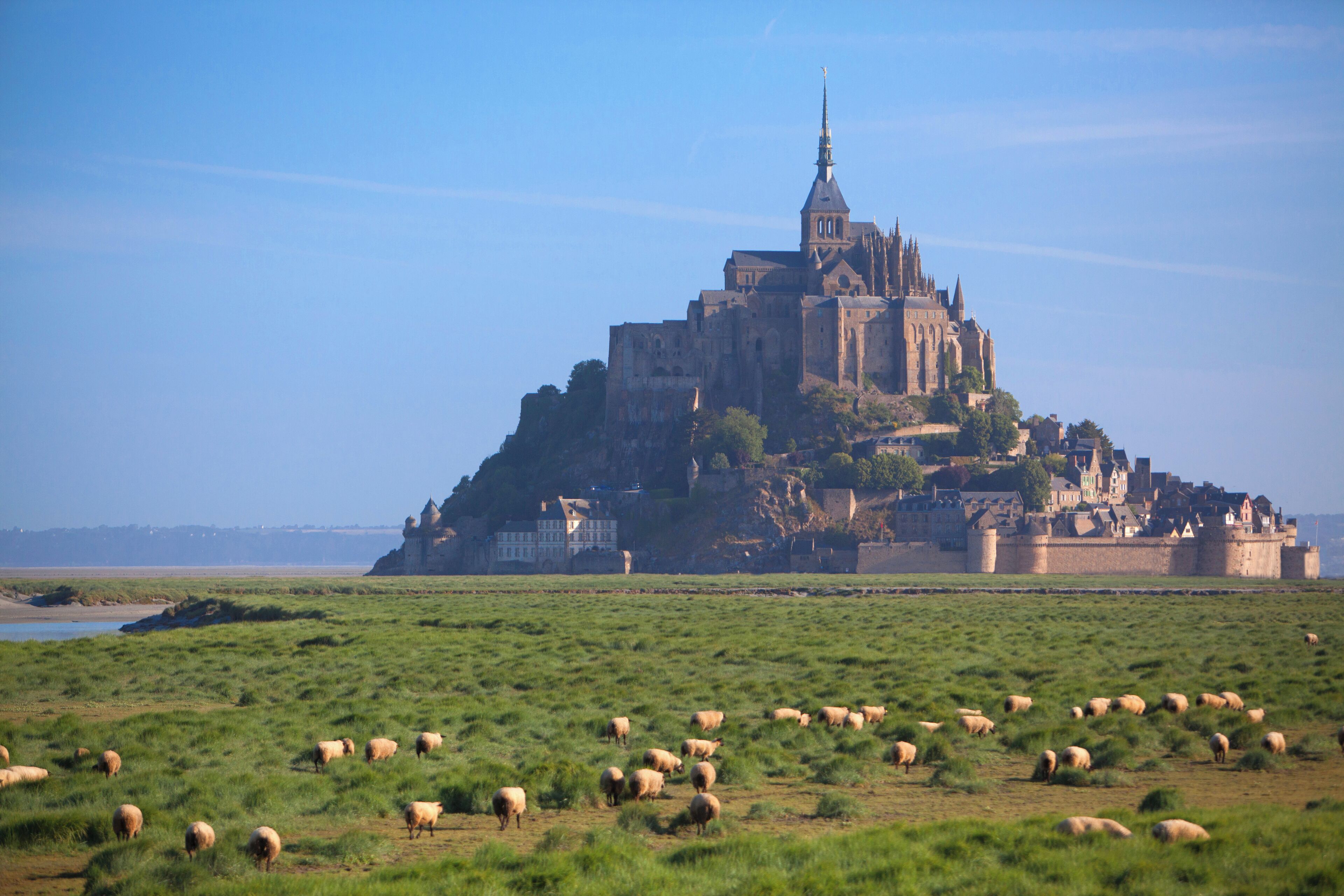 Un castillo histórico sobre una colina con un primer plano de césped.