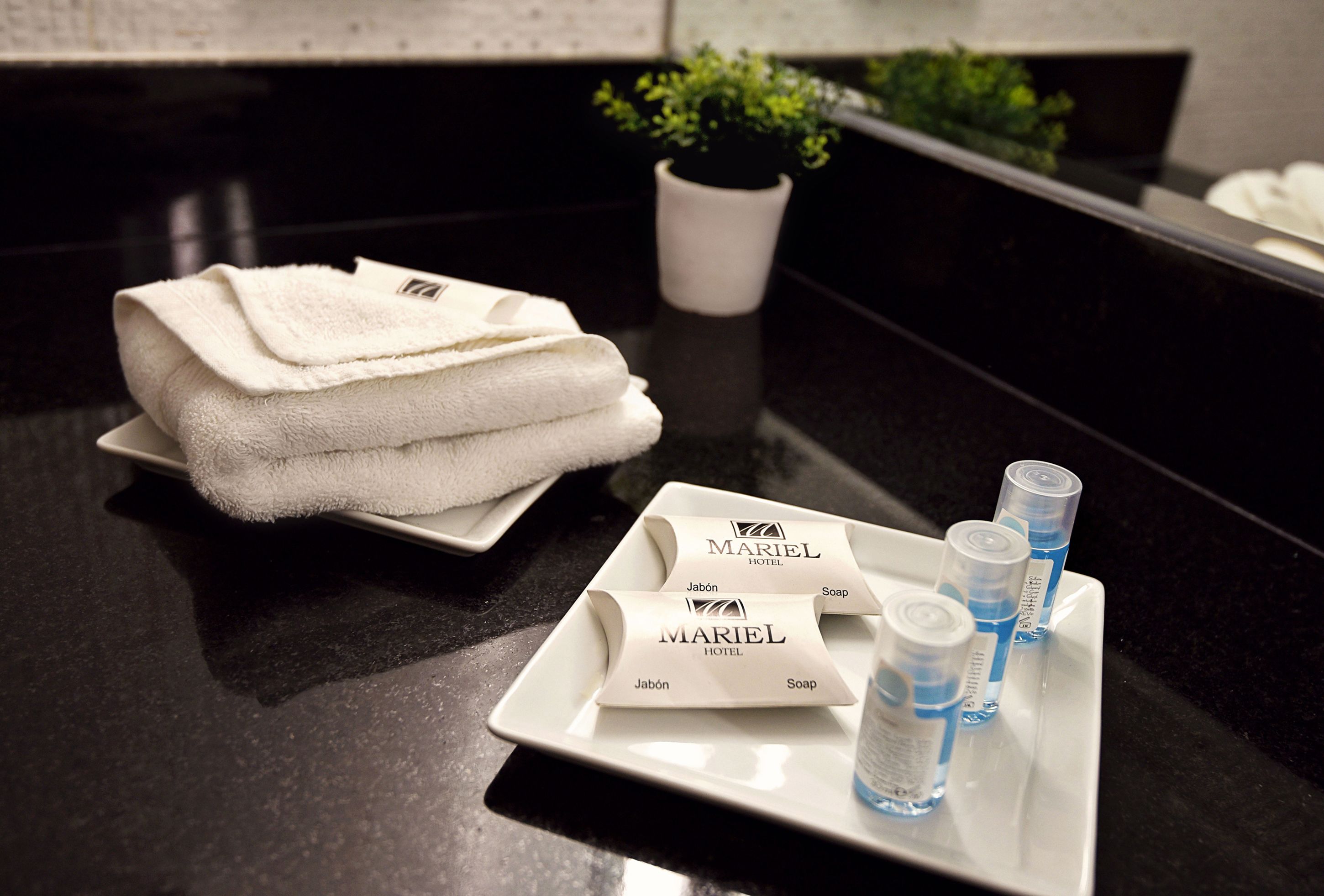 shower, rainfall showerhead, free toiletries, hair dryer