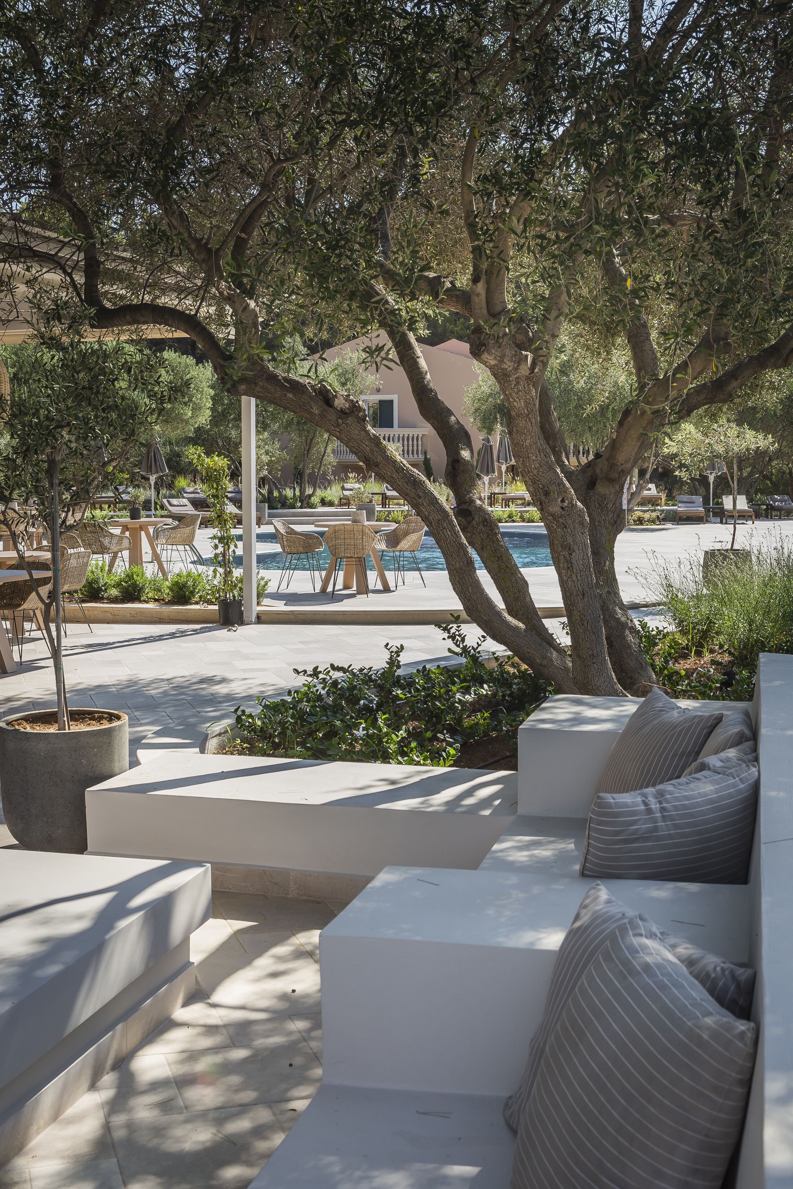 An outdoor seating area with a pool, surrounded by trees and potted plants.