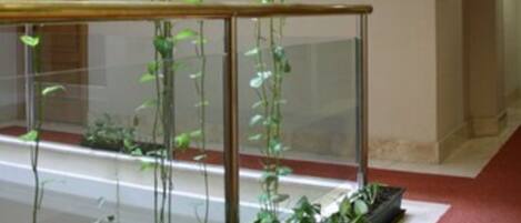 A modern indoor space with a glass railing, a red carpet, and a variety of green plants.