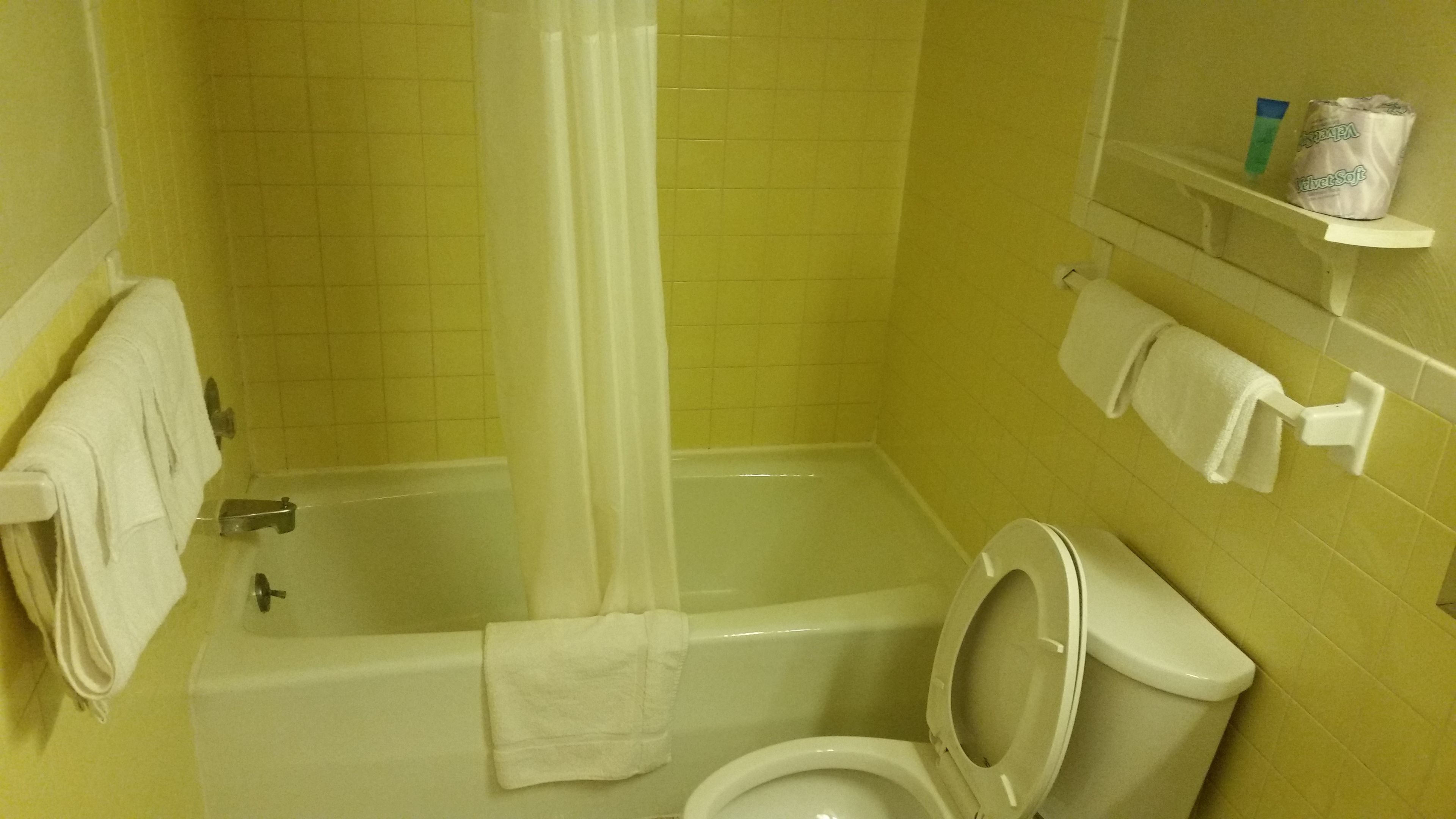 A bathroom with a bathtub, toilet, and a shower curtain.