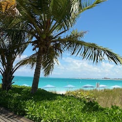 On the beach, white sand, beach umbrellas, beach towels