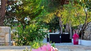 A stone pathway leading through a garden with flowering plants and trees. - Scala Apartments (Naxos)