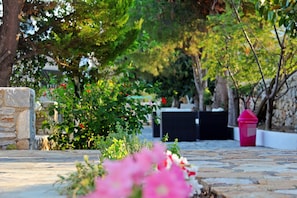 Se sirven desayunos, almuerzos y cenas; cocina griega