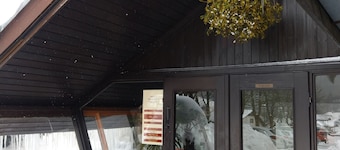 Hotel Trojane
