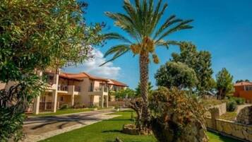 Khuôn viên nơi lưu trú